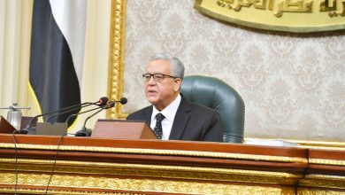 رئيس مجلس النواب المصري حنفي جبالي