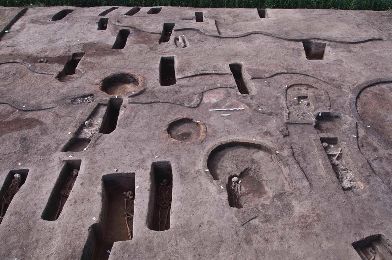  الكشف عن 110 مقبرة بمنطقة كوم الخلجان بالدقهلية