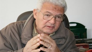 الدكتور ضياء الدين القوصي مستشار وزير المياه الأسبق