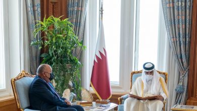 أمير قطر يتسلم رسالة من السيسي