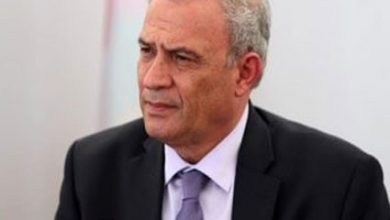 نائب رئيس الوزراء زياد ابو عمرو