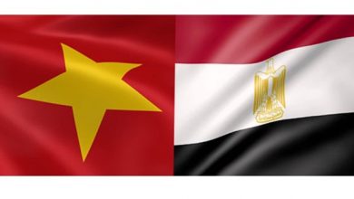 التعاون بين مصر وفيتنام