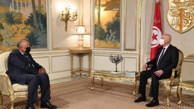 الرئيس التونسي قيس سعيد ووزير الخارجية المصري سامح شكري