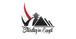 مبادرة ادرس في مصر