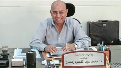 المهندس محمد عبد المقصود
