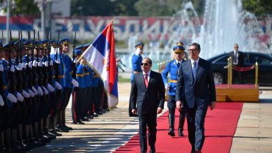 الرئيس الصربي ألكسندر فوتشيتش و الرئيس عبد الفتاح السيسي