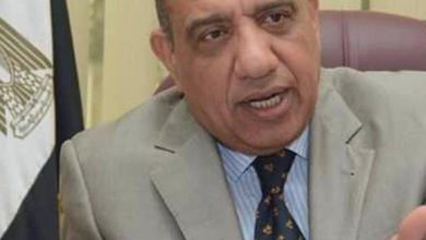 محمود جمال عصمت وزارة قطاع الأعمال