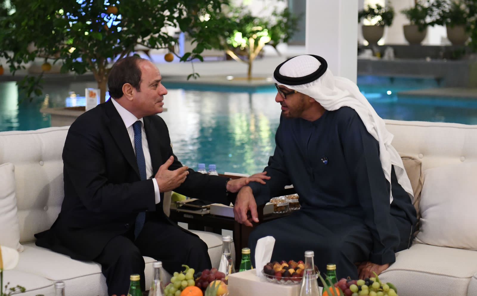 الرئيس السيسي يلتقي رئيس دولة الإمارات العربية المتحدة